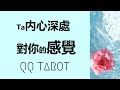 #QQ塔羅 【不限愛情】你心中所想的人，内心深處對你的感覺？隱藏的想法？未説出口的話？愛情/親情/友情/人際關係 真相 占卜 預測