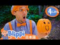 かぼちゃであそぼう 🎃 ☆ ブリッピー 日本語 ☆ 子供け教育動画 Blippi