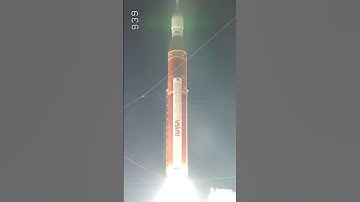 Mog is the vibe—don’t miss out. Get started—link in bio! NFA