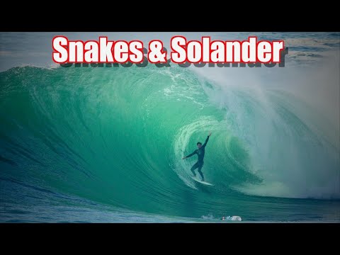 Snakes & Solander