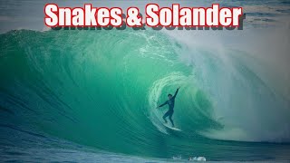Snakes & Solander