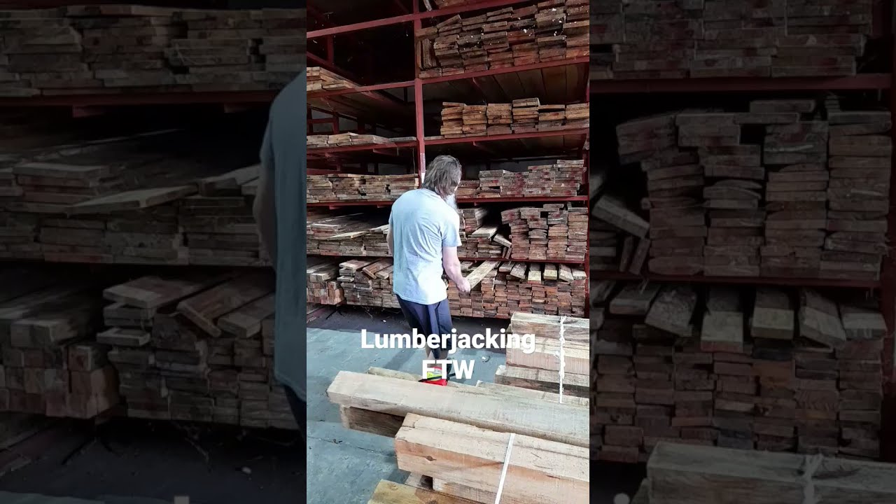I’m a #lumberjack and I’m ok #shorts #montypython