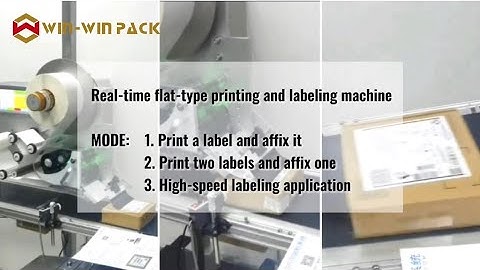 WIN-WIN PACK Efficient Labeling Solutions: Real-Time Flat Printing and Labeling Machine Modes