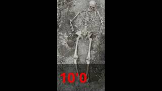 100 giant taller been than robert wadlow screenshot 1