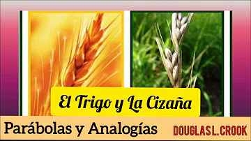 ¿Cuál es la enseñanza de la parábola del trigo y la cizaña?