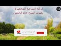 الرقية المختصرة لتحصين الاطفال والبيوت بصوت الشيخ خالد الحبشي الرقية المختصرة لتحصين الاطفال والبيوت بصوت الشيخ خالد الحبشي