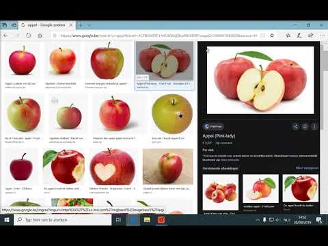 Een afbeelding zoeken op het internet en bewaren op de computer