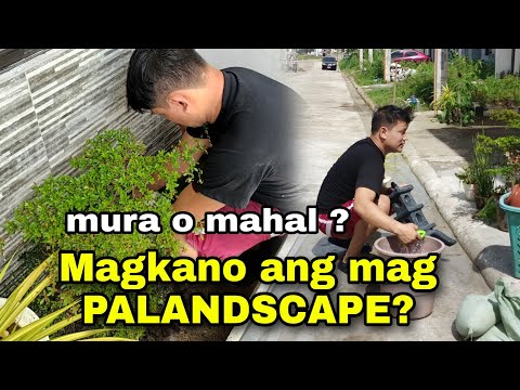 Video: Landscaping Laban sa Brick Wall – Ano ang Itatanim Malapit sa Brick Foundation