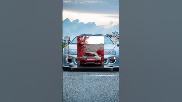 SUPRA | LIFE FORCE