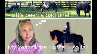 My Year of the Horse was...Hell!
