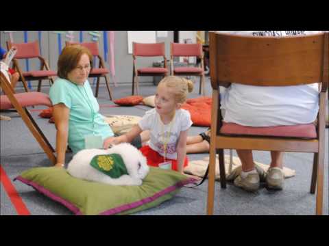 2016 Trinity Sarasota Summer Reading Program