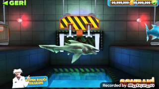 Hungry Shark Evulation Fgol Özel Kopekbalıklar