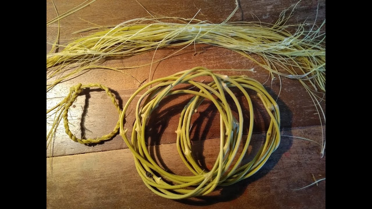 vannerie sauvage : ficelle de clématite