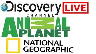 Watch National Geographic Channel • Animal Planet • discovery Live screenshot 5