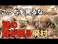 【廃村】【廃墟】廃村の探索をしていたら大量の首を発見してしまいました。誰が何のためにこんなことを... 滋賀 向之倉集落