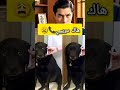 الو طاطااا Shorts Fyp Viral Foryou Explore Trending Funny Dog ضحك Hahaha Govtv1 