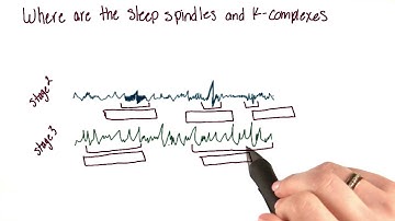 Identifying features of sleeping brain waves - Intro to Psychology