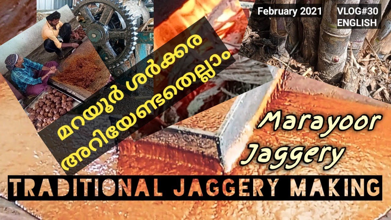 Jaggery Making At Marayoor | गुड़ बनाना | മറയൂർ ശർക്കര നിർമ്മാണം மறையூர் வெல்லம் தயாரித்தல் 