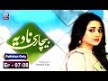 Watch Bechari Nadia Episode 07 & 08 - ARY Zindagi Drama Online In HD