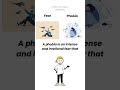What's the difference of Fear and Phobia