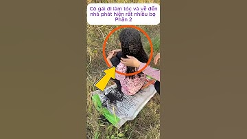 [P.2] Cô gái đi làm tóc và về đến nhà phát hiện rất nhiều bọ #shorts