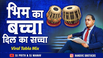Bhim Ka Baccha Dil Ka Saccha | Ek Ek Ye Jay Bhim Wala Sau Pe Bhari Hai | Dj Prith & Dj Manav