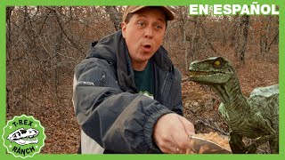 Alimentando a los dinosaurios | Videos de dinosaurios y juguetes para niños by Parque T-Rex - Dinosaurios para niños 28,219 views 2 months ago 10 minutes, 17 seconds