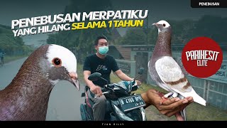 MERPATIKU HILANG SELAMA SATU TAHUN TELAH KEMBALI | PARIKESIT ELITE ' VLOG '