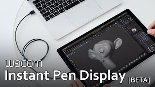 Wacoms Instant Pen Display Beta Setup Instructions