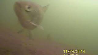 подводная съемка