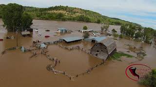 HEARTBREAKING Flooding swallows Montana Ranches as Yellowstone National Park remains closed.