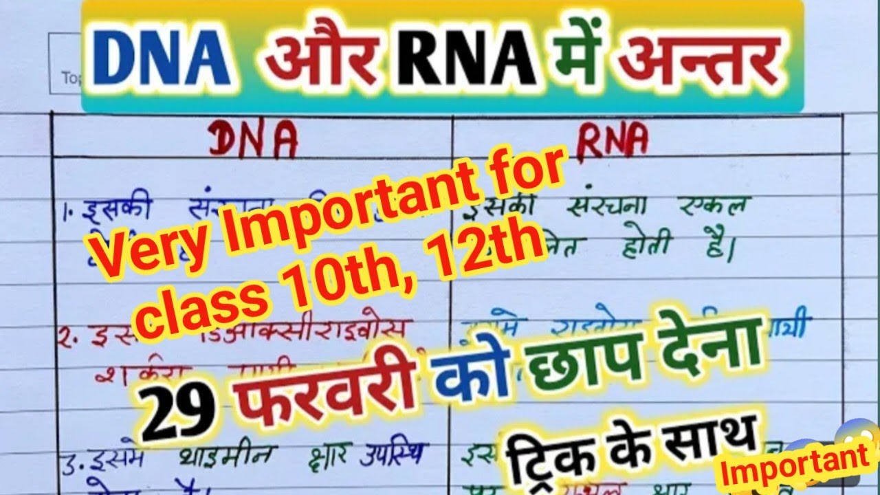 DNA और RNA में अंतर | dna rna mein antar |dna rna | class 12, 10 ...