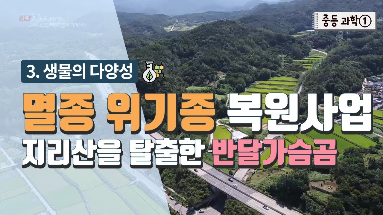 [중등 과학 1] 3. 생물의 다양성 - 멸종 위기종 복원사업 지리산을 탈출한 반달가슴곰
