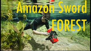 Giant Amazon Sword Plant Forest - Echinodorus And Ancistrus In Nature