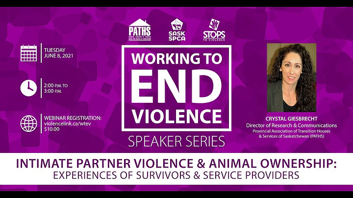 Intimate Partner Violence and Animal Ownership: Experiences of Survivors and Service Providers
