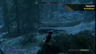 The Elder Scrolls V: Skyrim - Wolf physics