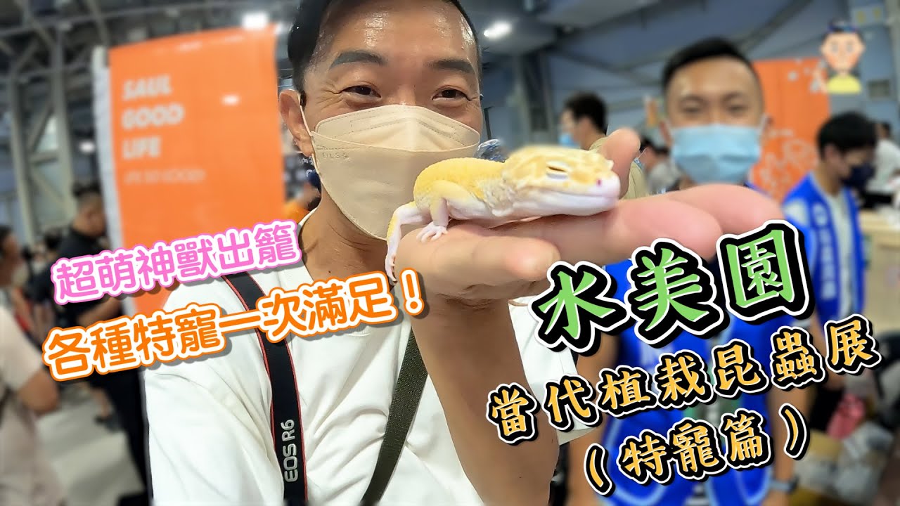 熱血阿傑超狂生態課！水美園下集特寵 長戟 守宮 閃鱗蛇 竹節蟲 螳螂