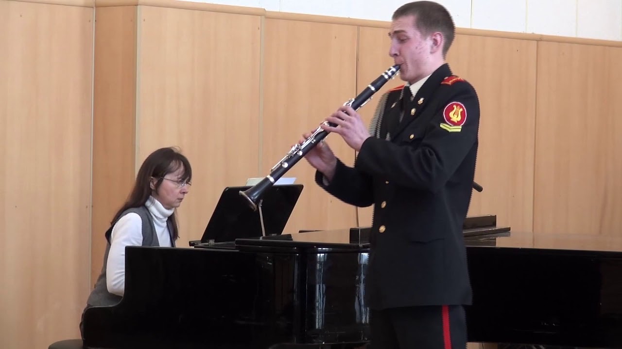 Дмш 96