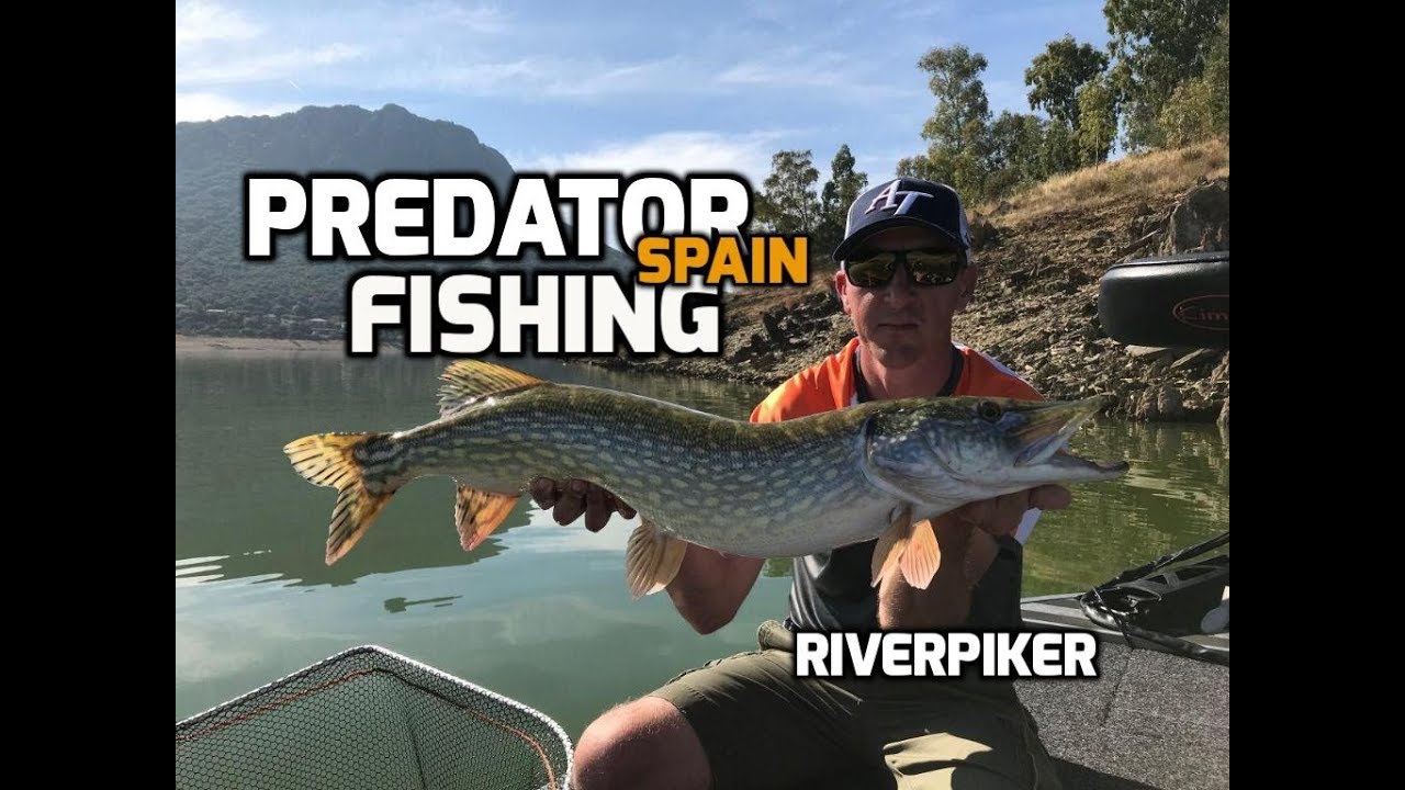 Spain Predator fishing - (video 220) 