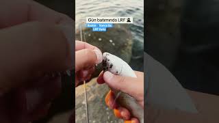 Ile Lrf Farkı Ik Ğa I