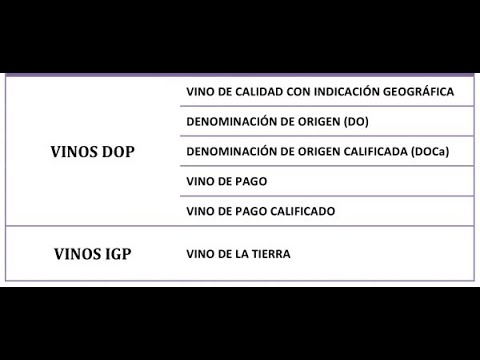 Video: Vin Valladolid