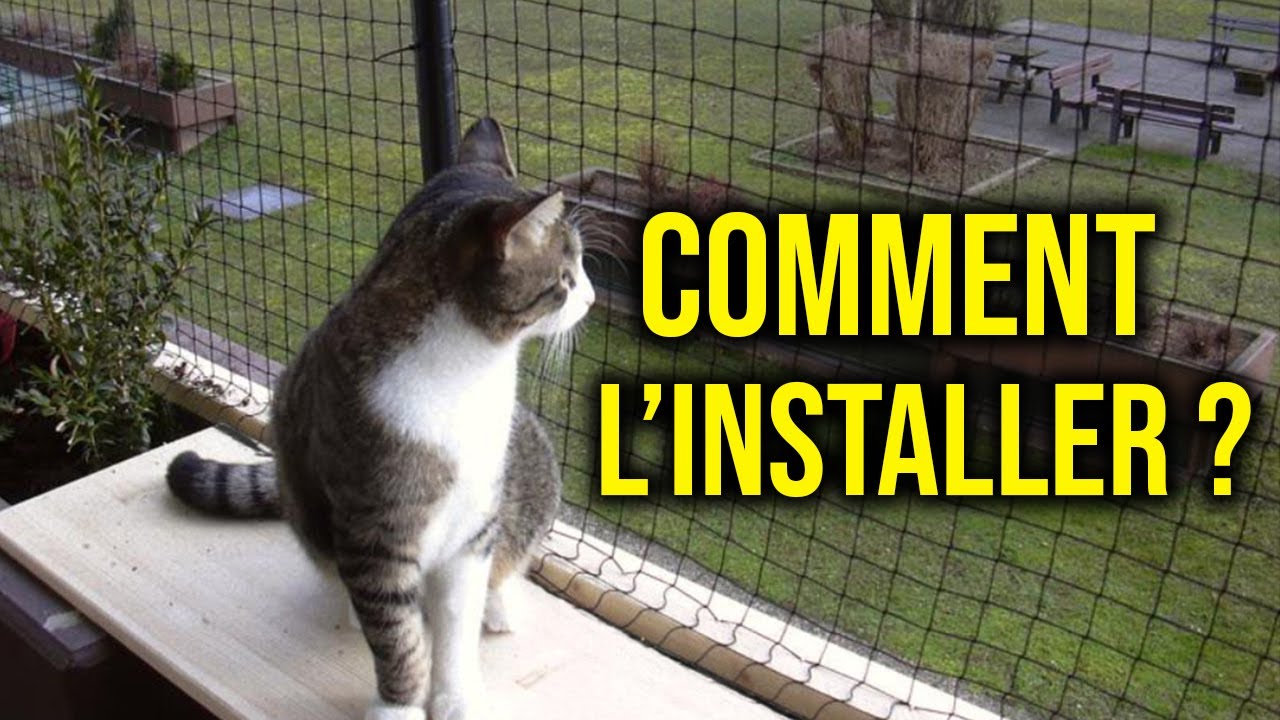 Filet balcon pour chat