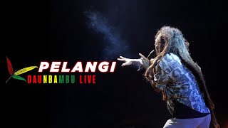 DBLIVE : DAUN BAMBU  - PELANGI | Diana Ria Kendal Expo 2022