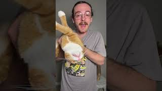 Update on the Amazon driver stealing a cat