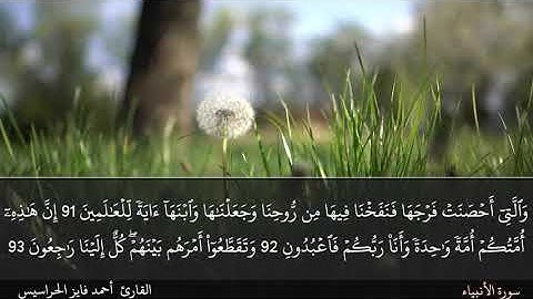 الصفحة 330 سورة الأنبياء بصوت القارئ المهندس أحمد فايز الحراسيس