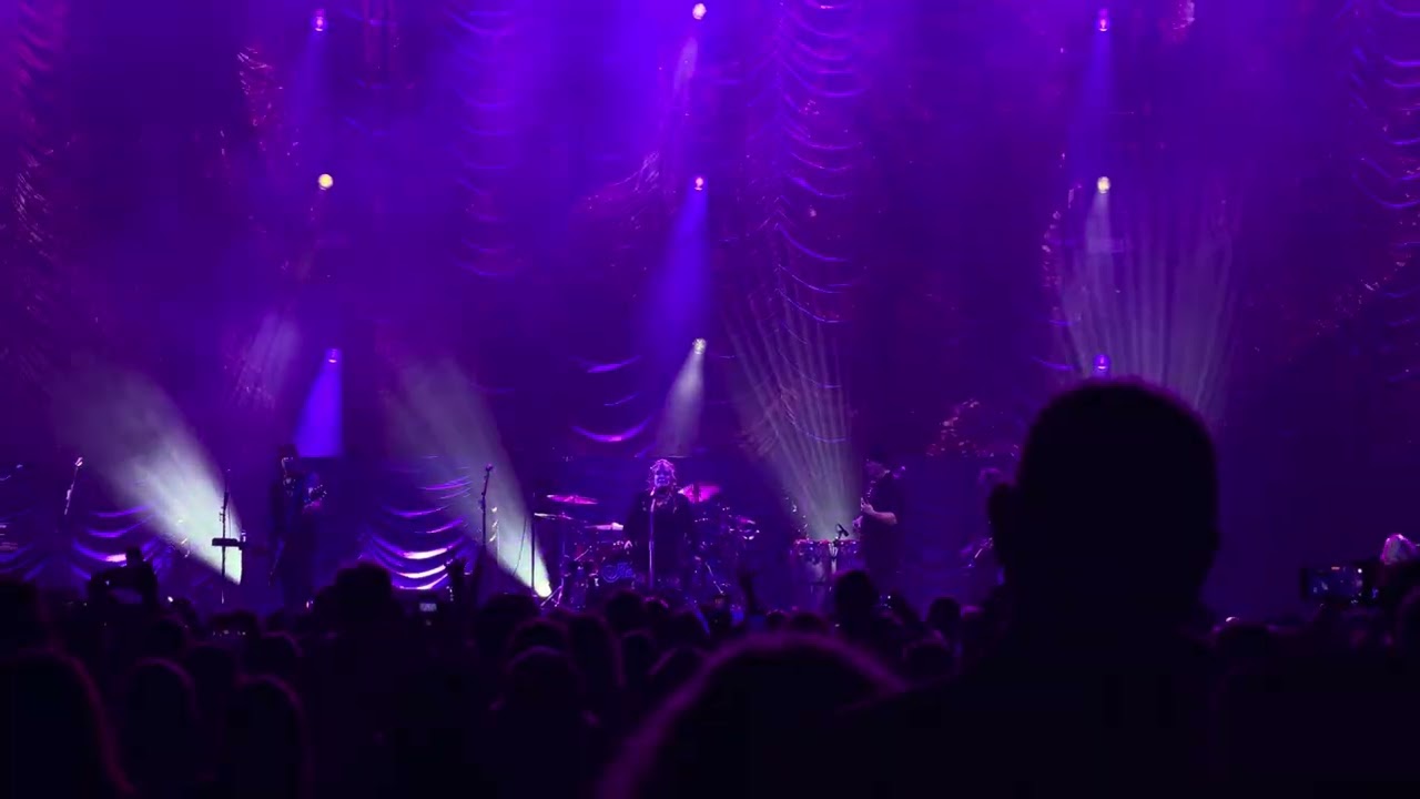 Heart Barracuda Live