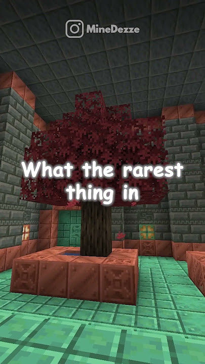 INI APAAN MOJANG?