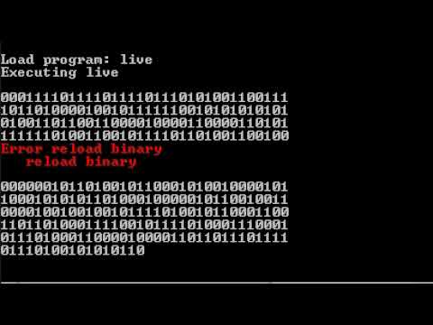 program code