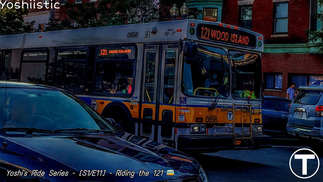 The Dreamy Proportion of Route 121 | Yoshi's Ride Series {S1-E11 ...