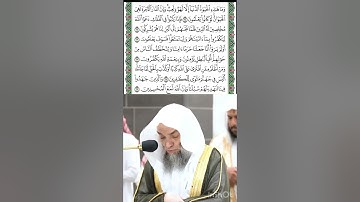 خواتيم سورة العنكبوت قراءة الشيخ فيصل غزاوي